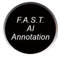 F.A.S.T. AI Annotation