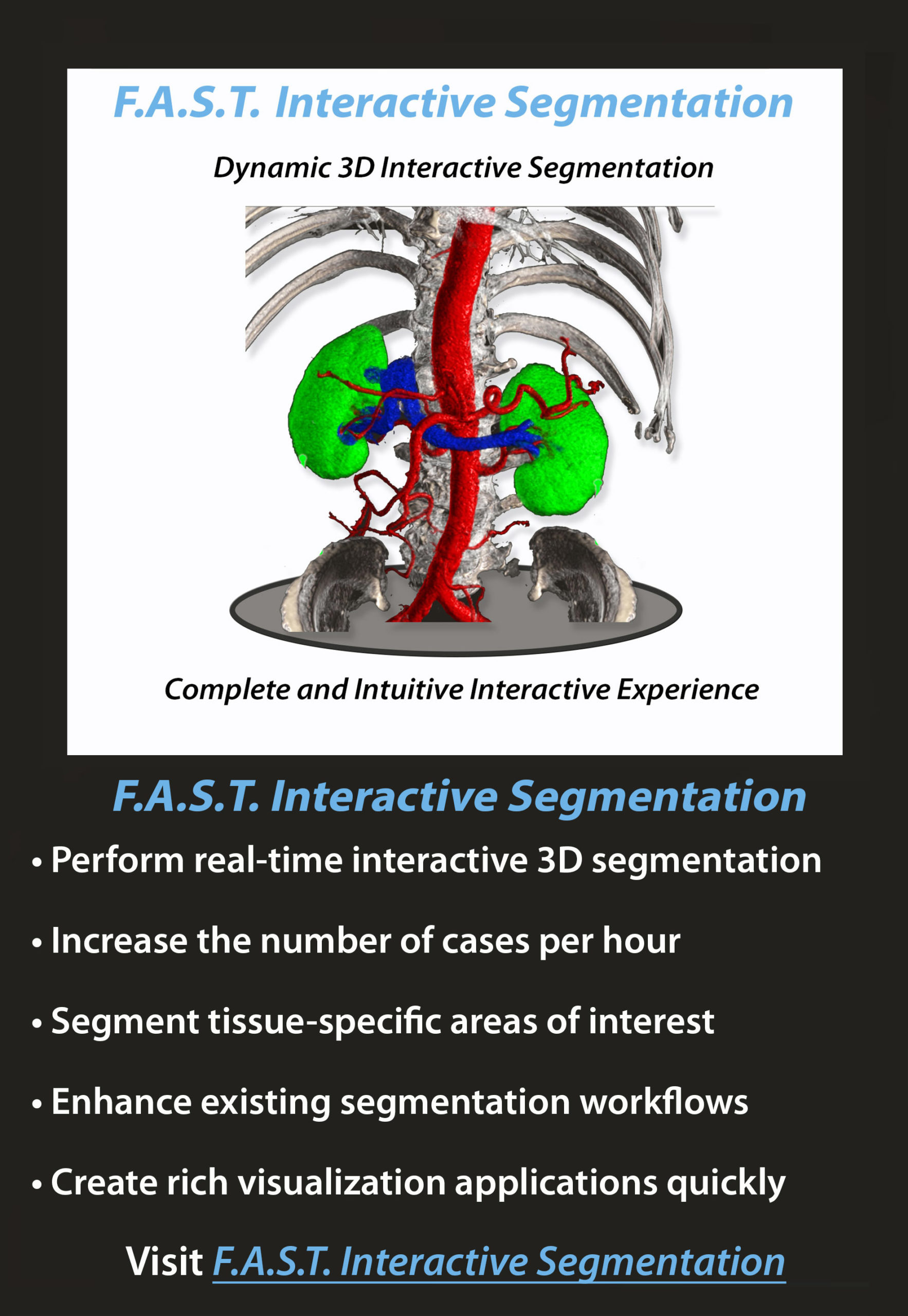 F.A.S.T. Interactive Segmentation
