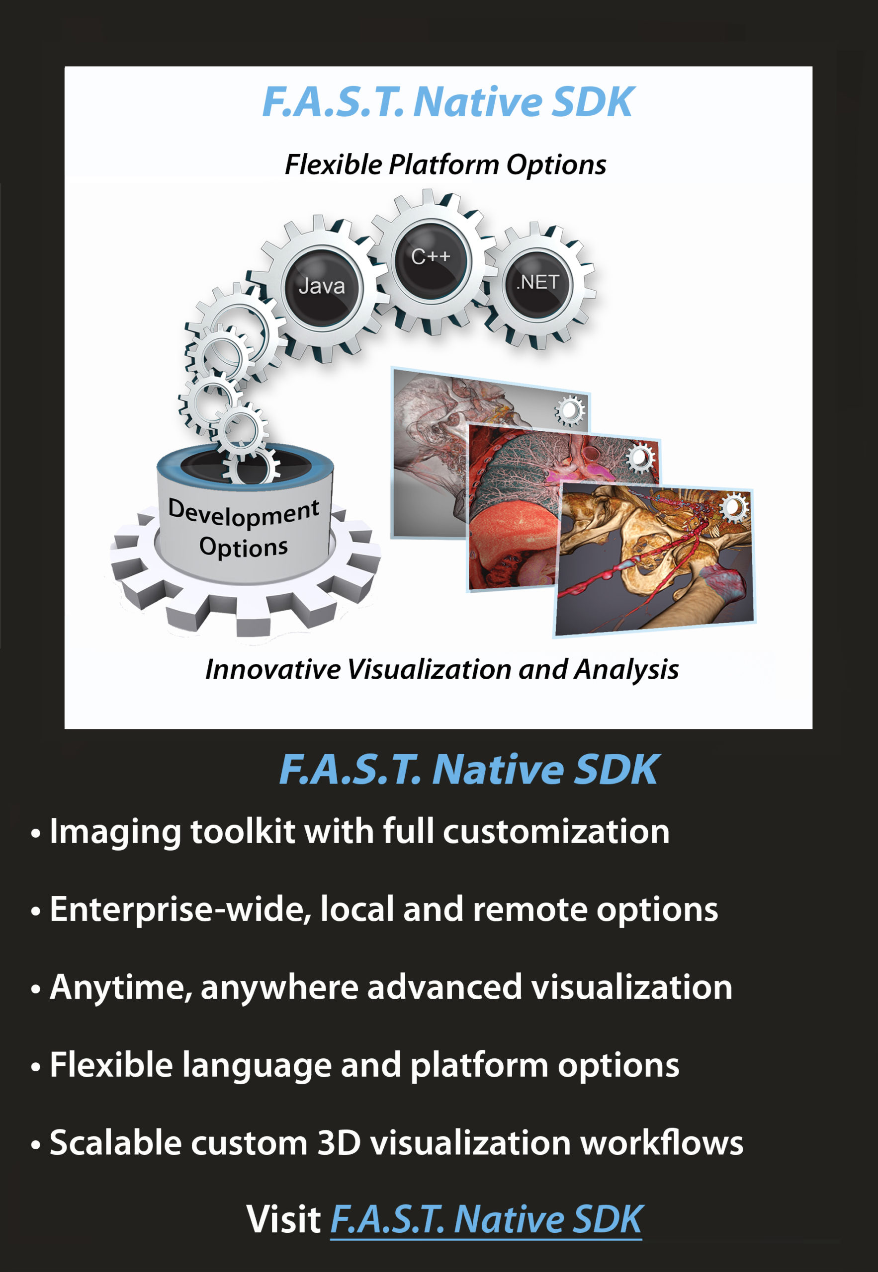 F.A.S.T. Native SDK