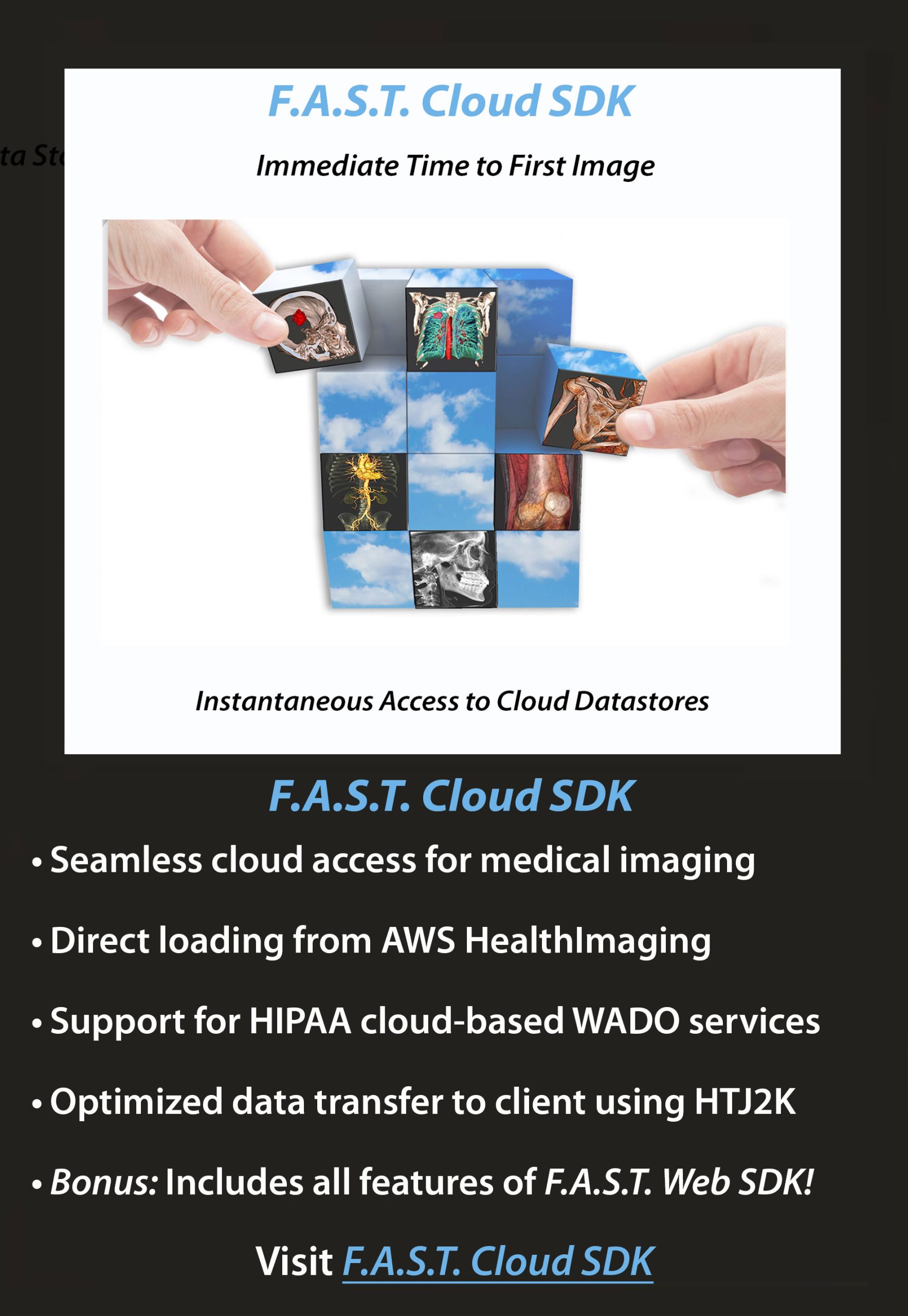 F.A.S.T. Cloud SDK