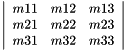 $ \left| \begin{array}{ccc} m11 & m12 & m13 \\ m21 & m22 & m23 \\ m31 & m32 & m33 \\ \end{array} \right| $